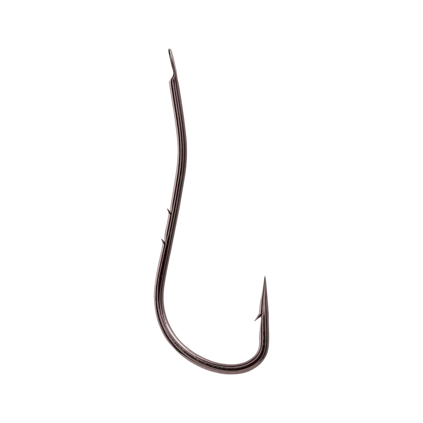 Amo Jurassic Serie J13