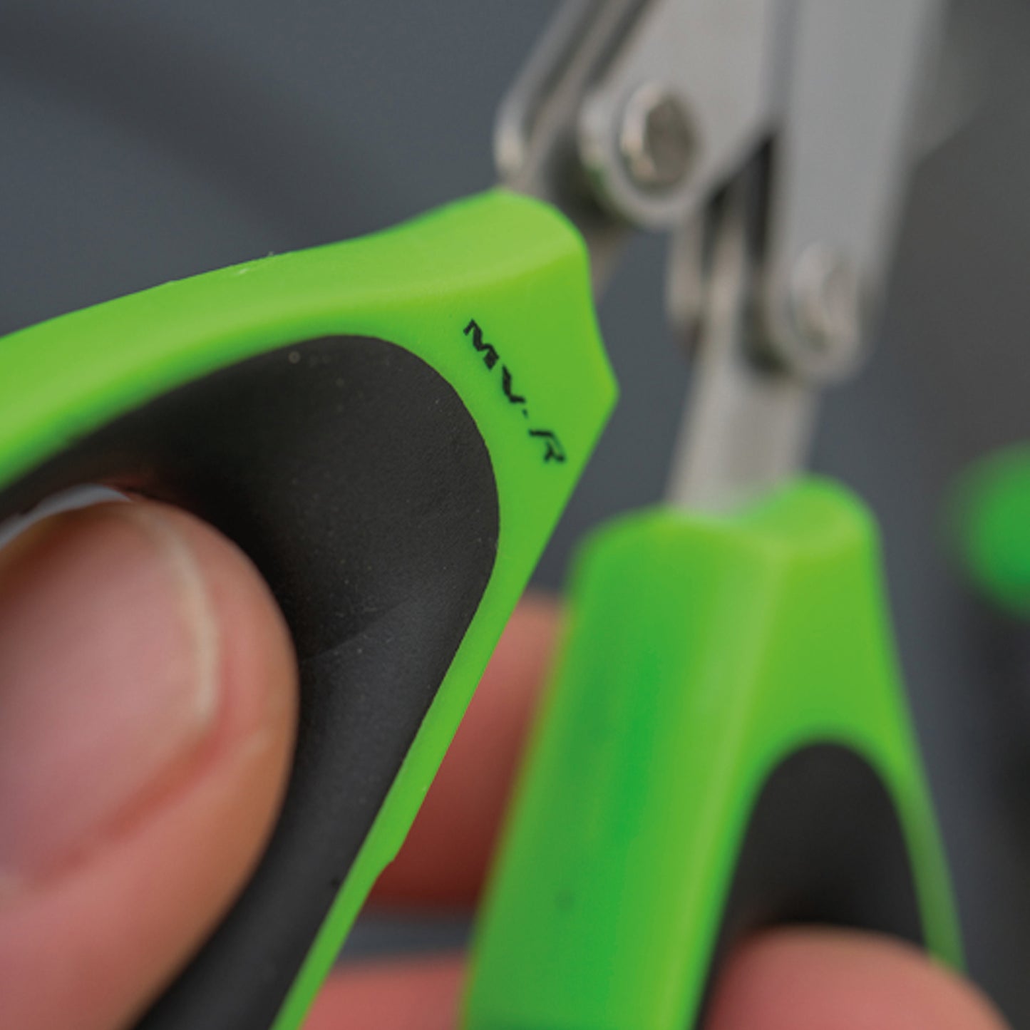 MV-R Choppped Worm Scissors