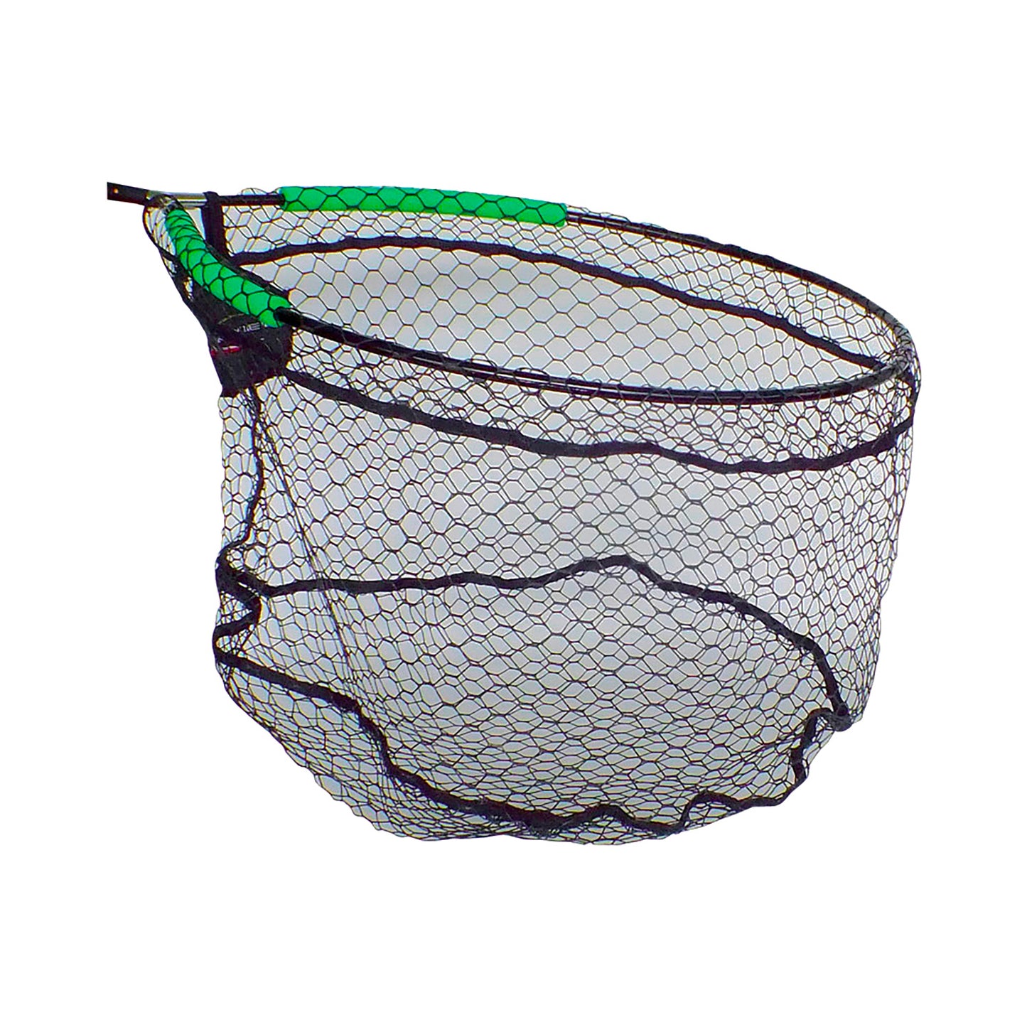 Testa di Guadino Medusa Carp Big Fish 50x60cm